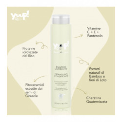 YUUP BALSAMO HOME DISTRICANTE ML.250