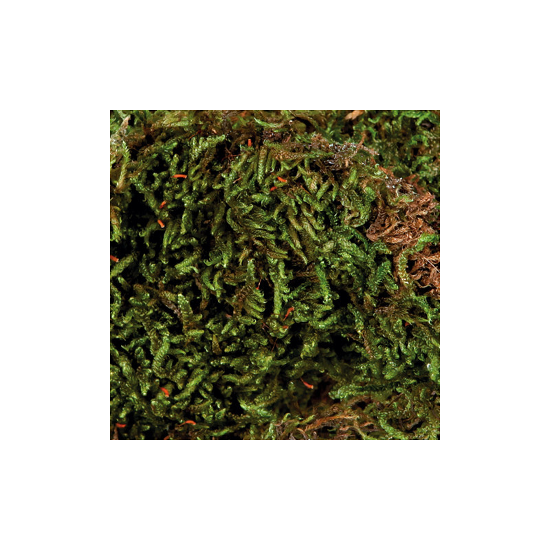 TRIXIE MUSCHIO PER TERRARI 200GR