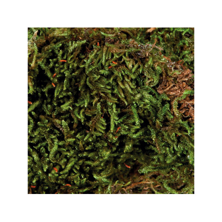 TRIXIE MUSCHIO PER TERRARI 200GR