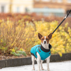 TRIXIE CAPPOTTINO PONTIS CON PETTORINA XXS CM.24 A