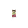 OASY CAT DELICATESSE PATE C/FEGATO GR.85 VASCH.