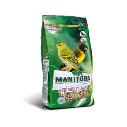 MANITOBA SPINUSSPINUS KG.2,5