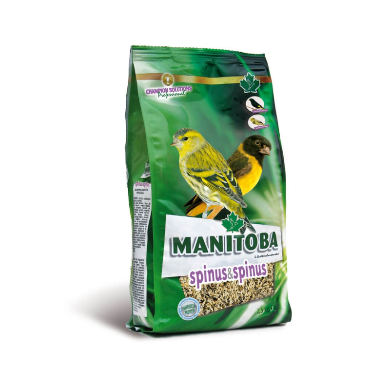 MANITOBA SPINUSSPINUS KG.2,5