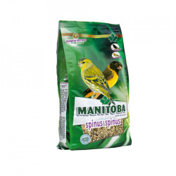 MANITOBA SPINUSSPINUS GR.800