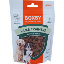BOXBY LAMB TRAINERS GR.100