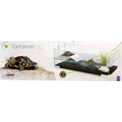 ASKOLL TARTARIUM 60 COOL