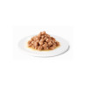 ADVANCE DIET DOGCAT RECOVERY GR.100 BUSTINA