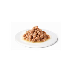 ADVANCE DIET DOGCAT RECOVERY GR.100 BUSTINA
