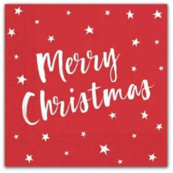 TRIXIE XMAS SOTTOCIOTOLA IN PLASTICA CM.44X28 BEIG