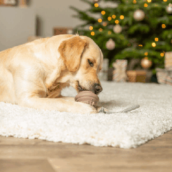 TRIXIE XMAS CAMPANELLO IN GOMMA NATURALE CON CORDA