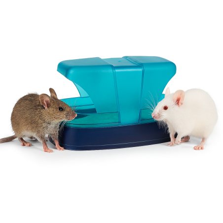 TRIXIE VASCHETTA DA BAGNO 17X10X10