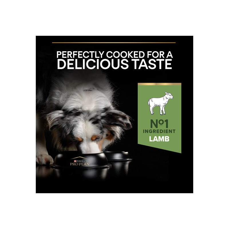 PROPLAN ADULT MEDIUM AGNELLO KG.3