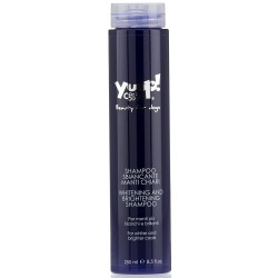 YUUP SHAMPOO HOME SBIANCANTE ML.250