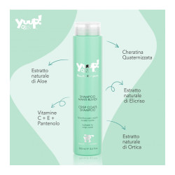 YUUP SHAMPOO HOME MANTI RUVIDI ML.250