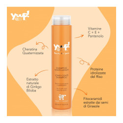 YUUP SHAMPOO HOME MANTI LUNGHI ML.250